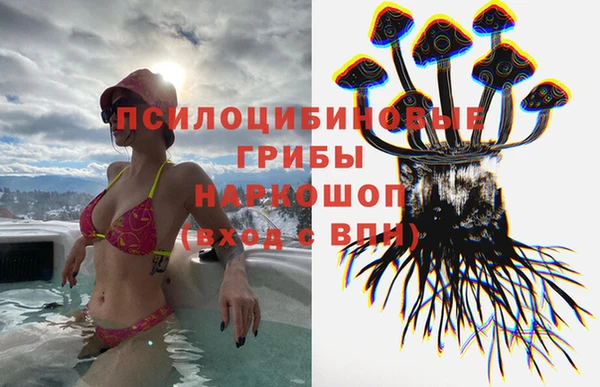 прущие грибы Нефтегорск