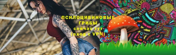 PSILOCYBIN Нея