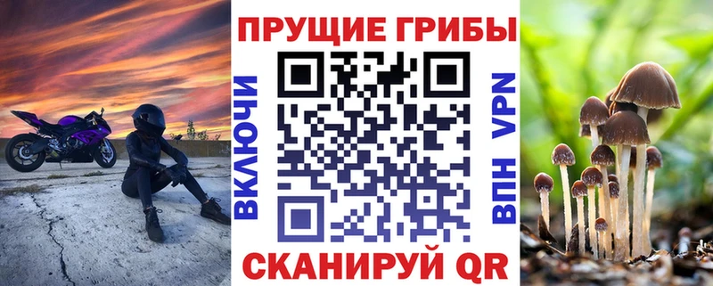 hydra как зайти  Лянтор  Галлюциногенные грибы MAGIC MUSHROOMS 